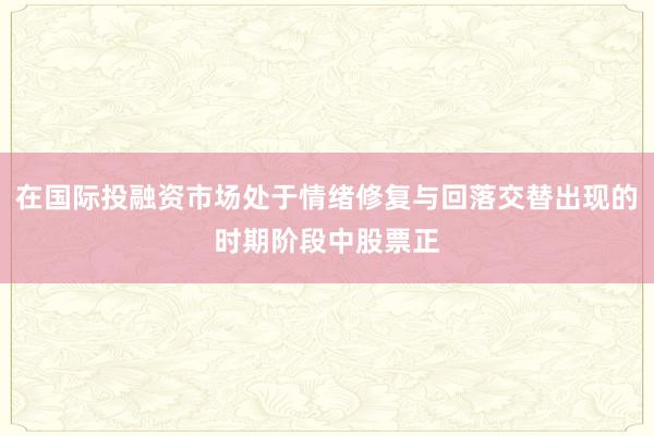 在国际投融资市场处于情绪修复与回落交替出现的时期阶段中股票正