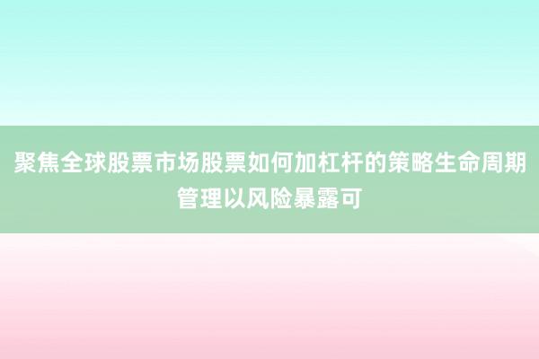 聚焦全球股票市场股票如何加杠杆的策略生命周期管理以风险暴露可
